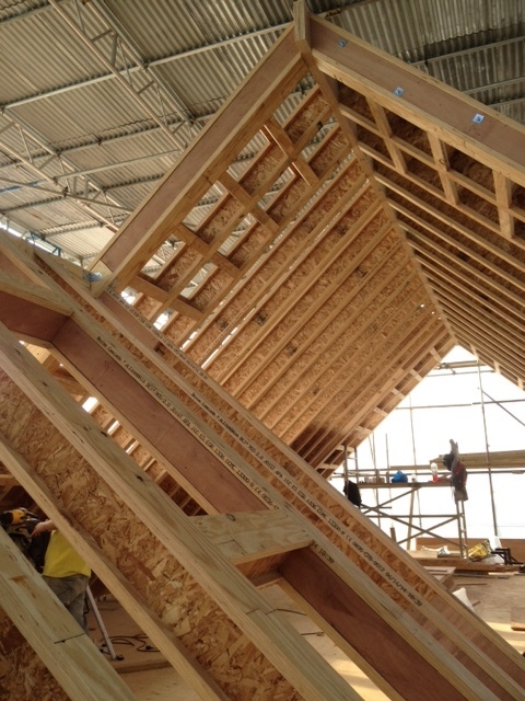 Ringmore Rise roof structure