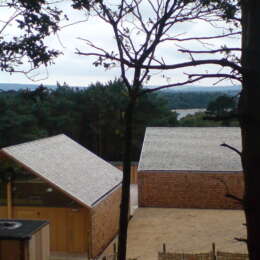 Looking out over the sea